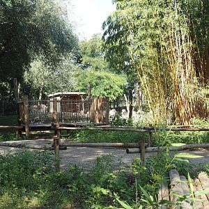 New viewing area for Mhorr gazelle and South African ostrich paddock, 2025-08-03