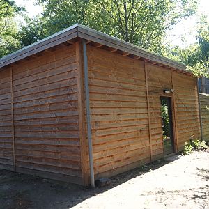 Indochinese clouded leopard house, backside with keeper entrance, 2025-08-03