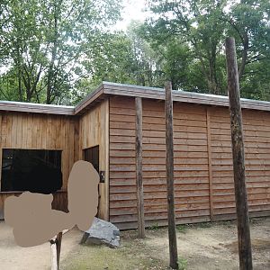 Indochinese clouded leopard house, 2025-08-03