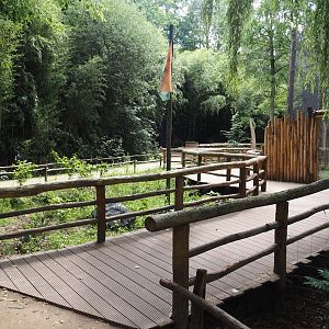 Indochinese clouded leopard viewing boardwalk, 2025-08-03
