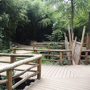 Indochinese clouded leopard viewing boardwalk, 2025-08-03