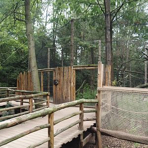 Indochinese clouded leopard viewing boardwalk, 2025-08-03