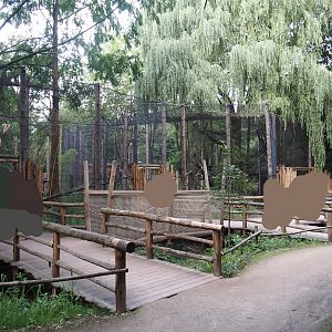 Indochinese clouded leopard viewing boardwalk, 2025-08-03