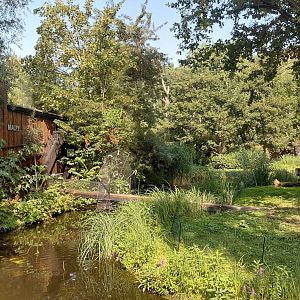 Capuchin outdoor exhibit