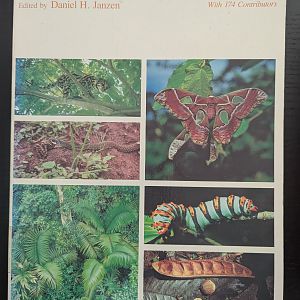 Costa Rican Natural History