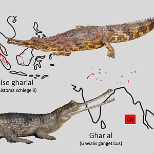 Gharial distribution maps