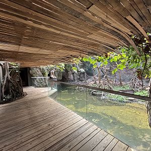 Ebony Langur Exhibit