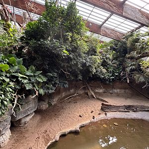 Malayan Tapir Exhibit - too small
