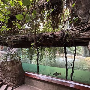 Gharial Exhibit