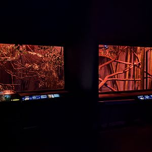 World of Darkness (2 species)