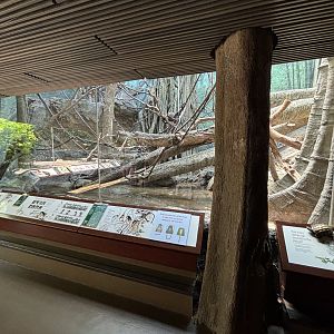 Wolf’s Monkey Exhibit