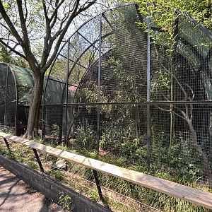 Old Fashioned Monkey Cages