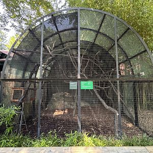 Bolivian Gray Titi Monkey Exhibit