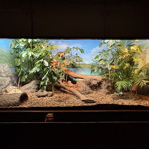 Gray’s Monitor Exhibit