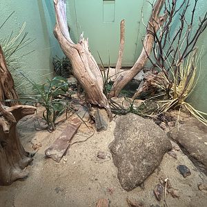 Milos Viper Exhibit