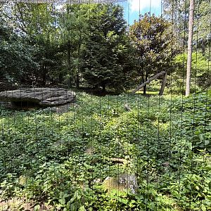 Snow Leopard Exhibit