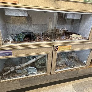 Animal Discovery Center - Assorted Enclosures