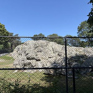 Himalayan Highlands - Markhor Enclosure