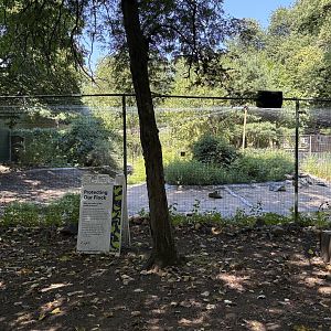 Yukon Creek - Black-necked Crane enclosure