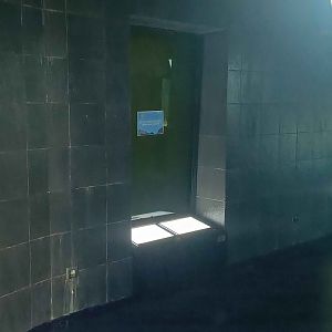 Empty South Asian Barb Tank