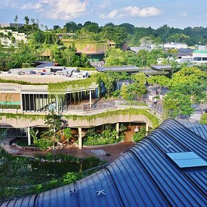 Mandai Wildlife East