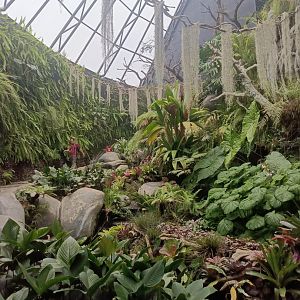River Ecosystem Display