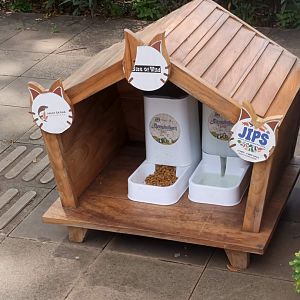 Stray cat feeding station