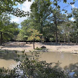Pere David’s Deer Exhibit