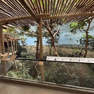 World of Birds - Tropical Africa