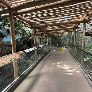 World of Birds - Tropical Africa