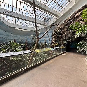 World of Birds - South America