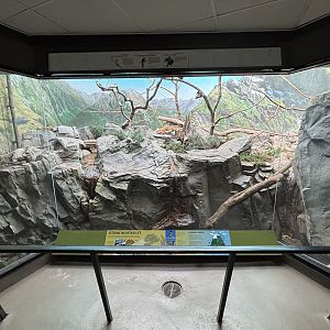 World of Birds - Extreme Mountain Life