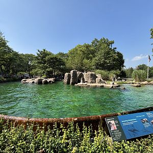 California Sea Lion Exhibit