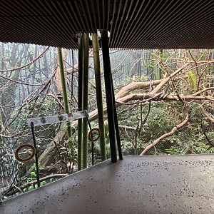 Madagascar! - Red Ruffed Lemur Exhibit