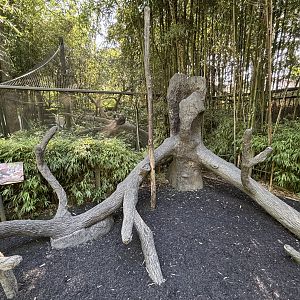 Coati Exhibit + Play Area