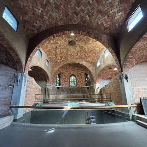 Zoo Center - White Rhino Indoor Exhibit