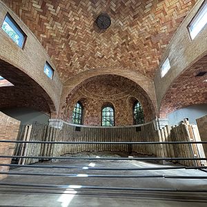 Zoo Center - White Rhino Indoor Exhibit