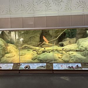 Zoo Center - Komodo Dragon Indoor Exhibit