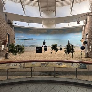 Carter Giraffe House