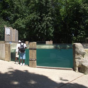 Penguin Pool - Zooparc de Beauval, 28/06/2025