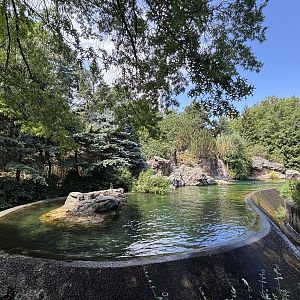 California Sea Lion Exhibit