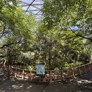 Walk-through Aviary