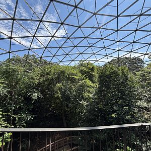 Walk-through Aviary