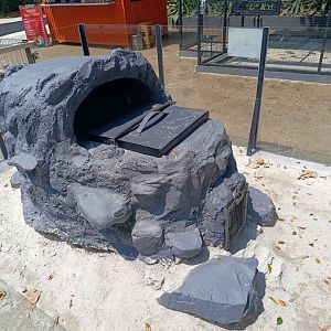 Blacktail Prairie Dog (Cynomys ludovicianus) exhibit