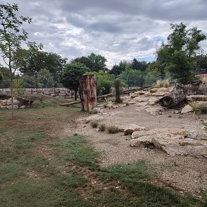 African Lions Exhibit