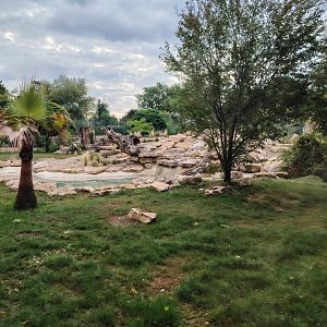 African Lions Exhibit