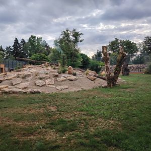 African Lions Exhibit