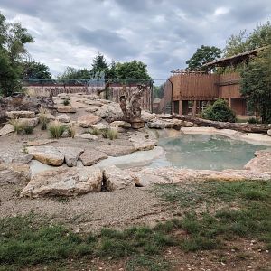 African Lions Exhibit