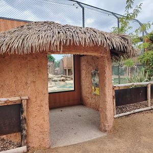African Lions Exhibit