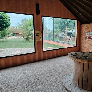 African Lions Exhibit